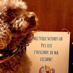 Meet your Posher, Ge